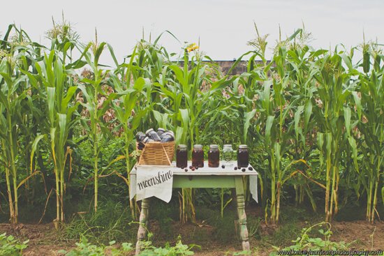 Vintage Summer Farm-to-Table Wedding | Vintage Rentals + Styling by Stockroom Vintage, Nashville, TN | Photos by Kelsey Harrison